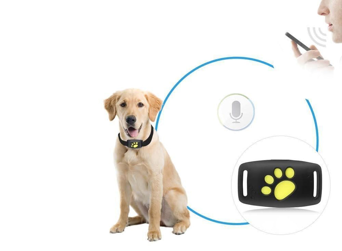Collar GPS Para Mascotas Luxora – Ubicación En Tiempo Real, Diseño Ligero
