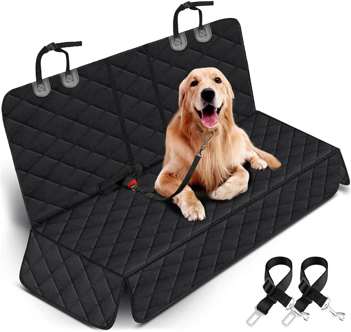 AutoPaws