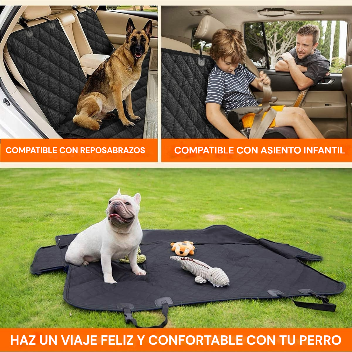 AutoPaws
